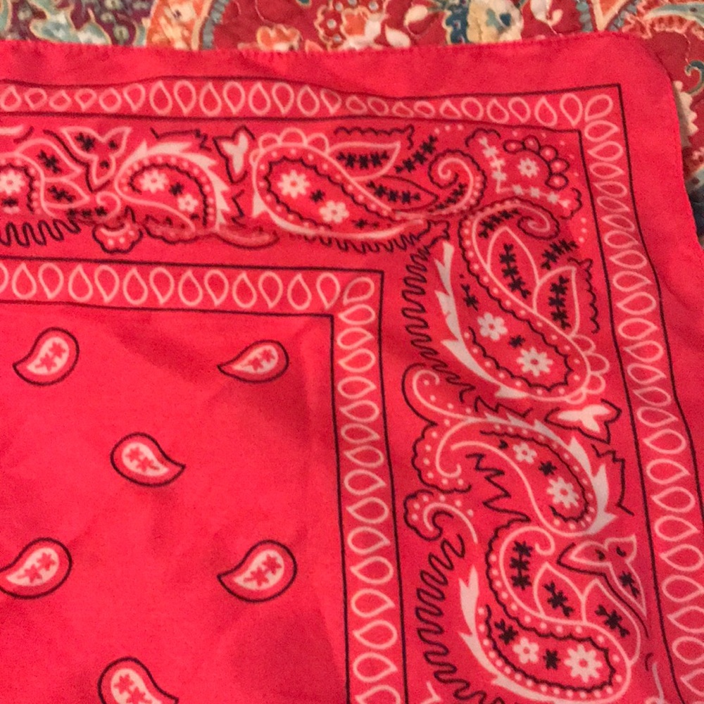 Handkerchief - Picture 2 of 2
